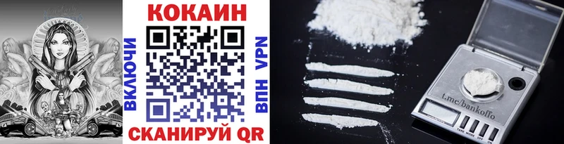 купить наркотики цена  Балтийск  COCAIN Fish Scale 