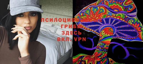 спиды Арсеньев